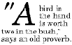  :first-letter